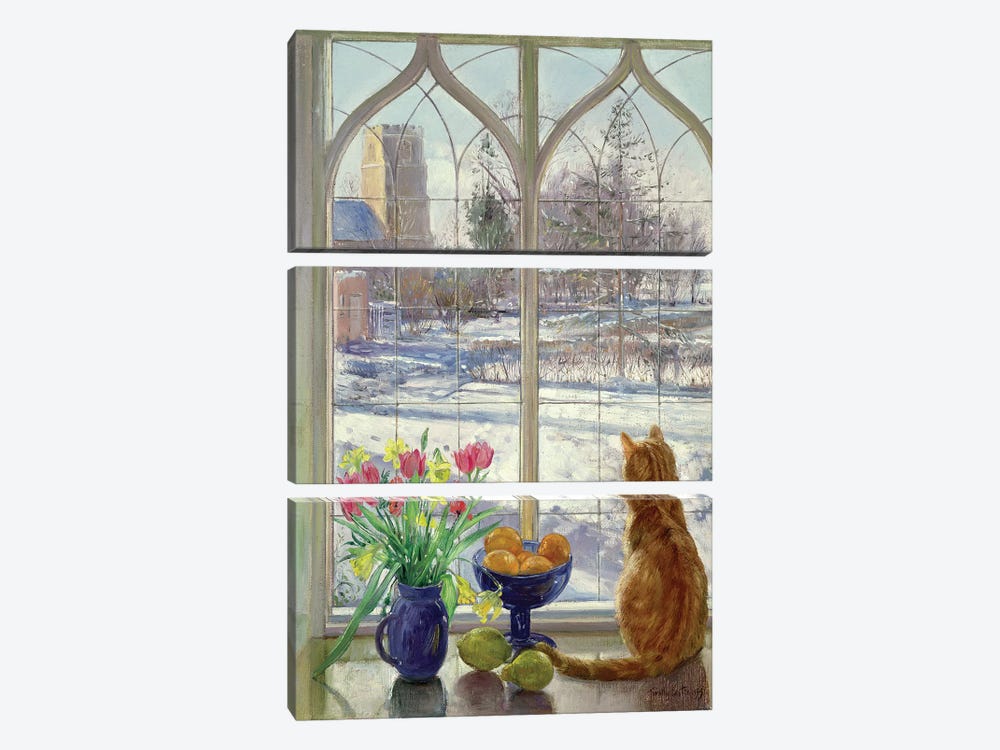 Snow Shadows And Cat by Timothy Easton 3-piece Canvas Art