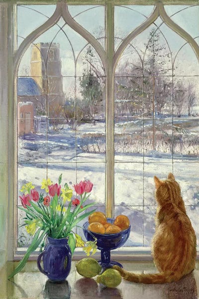 Orange Cats: Snow Shadows And Cat by Timothy Easton