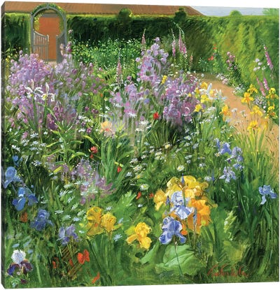 Sweet Rocket, Foxgloves And Irises Canvas Art Print - Garden & Floral Landscape Art