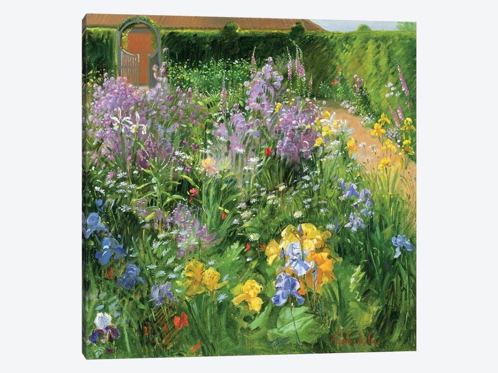 Sweet Rocket, Foxgloves And Irises by Timothy Easton 1-piece Canvas Art