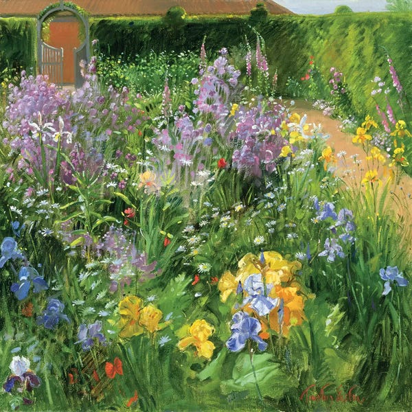 Large Scenic & Landscape Art - Canvas Prints: Sweet Rocket, Foxgloves And Irises by Timothy Easton