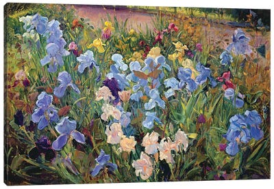 The Iris Bed, 1993 Canvas Art Print - Timothy Easton