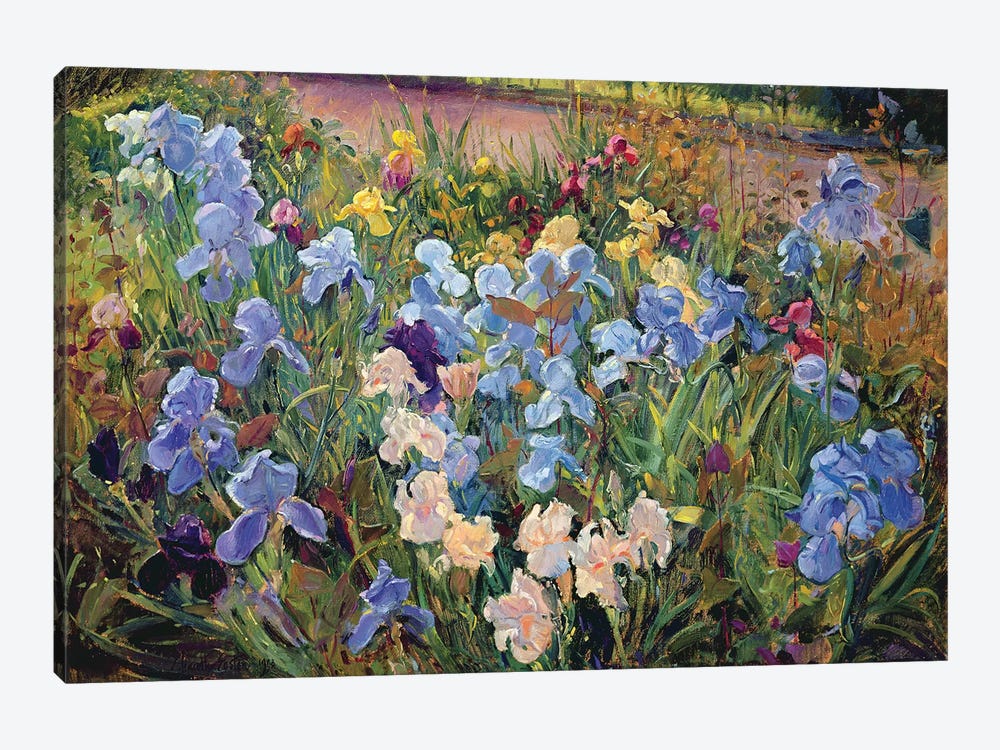 The Iris Bed, 1993 by Timothy Easton 1-piece Art Print