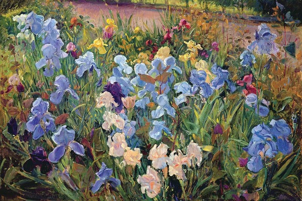 Spring: The Iris Bed, 1993 by Timothy Easton