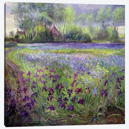 Trackway Past The Iris Field, 1991 Canvas Print #EST28} by Timothy Easton Canvas Artwork