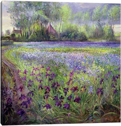 Trackway Past The Iris Field, 1991 Canvas Art Print - Garden & Floral Landscape Art