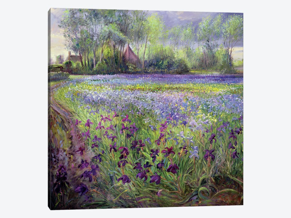 Trackway Past The Iris Field, 1991 by Timothy Easton 1-piece Canvas Artwork