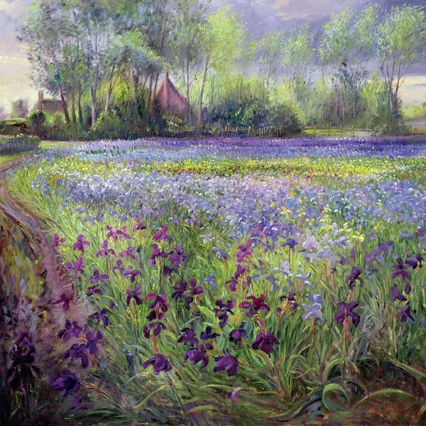 Timothy Easton: Trackway Past The Iris Field, 1991 by Timothy Easton