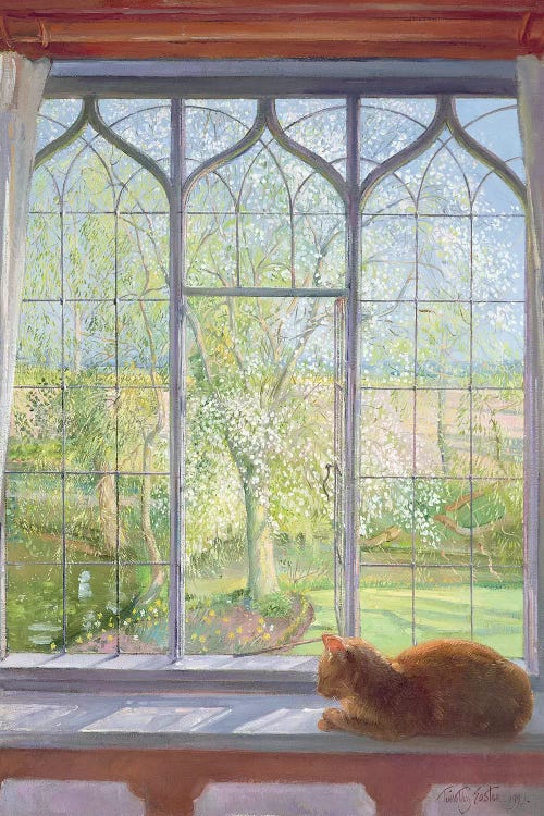 Window In Spring