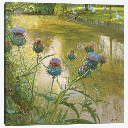 Cardoons Against The Moat Canvas Print #EST32} by Timothy Easton Art Print