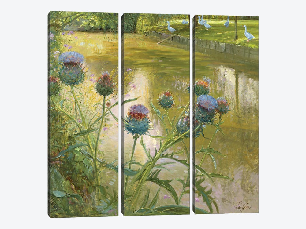Cardoons Against The Moat by Timothy Easton 3-piece Canvas Print