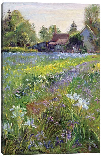Dwarf Irises And Cottage, 1993 Canvas Art Print - Garden & Floral Landscape Art