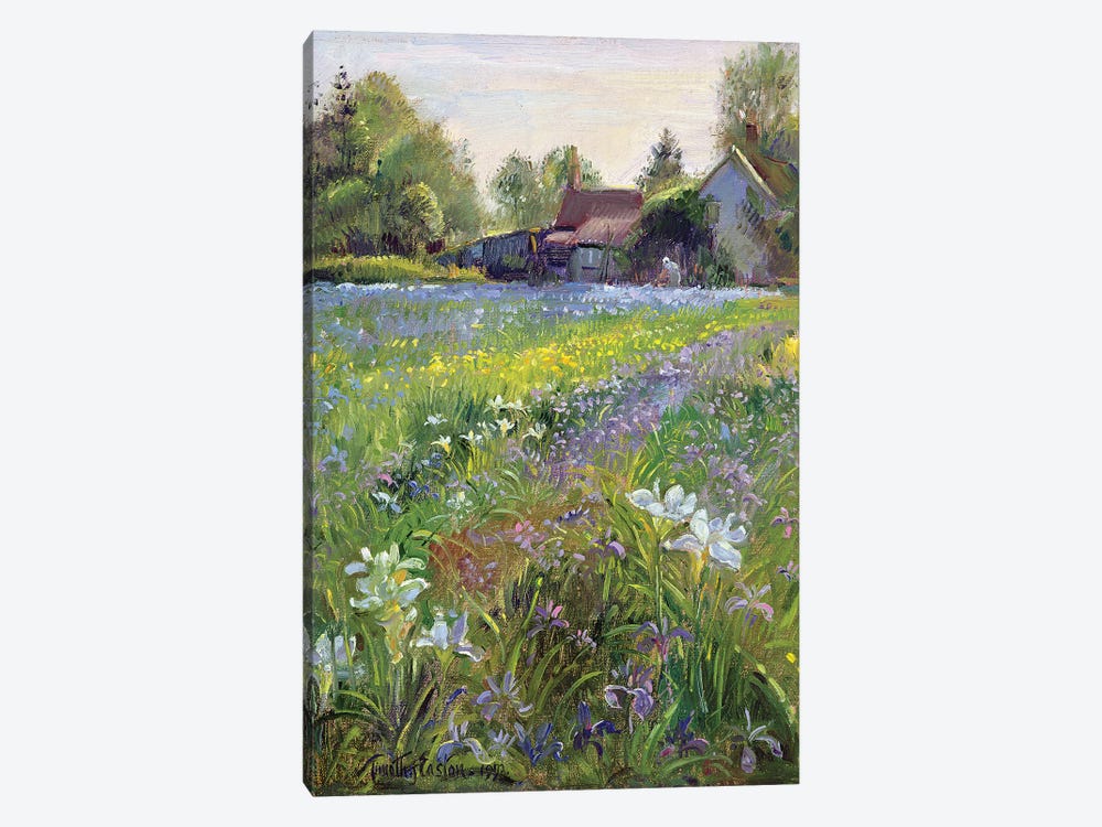 Dwarf Irises And Cottage, 1993 by Timothy Easton 1-piece Art Print