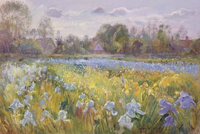 Iris Field In The Evening Light, 1993 by Timothy Easton framed wall art