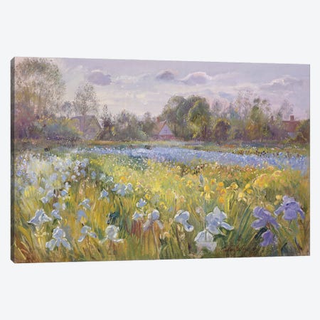 Iris Field In The Evening Light, 1993 Canvas Print #EST38} by Timothy Easton Canvas Art Print