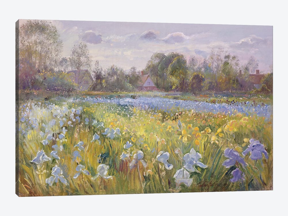 Iris Field In The Evening Light, 1993 by Timothy Easton 1-piece Canvas Art Print