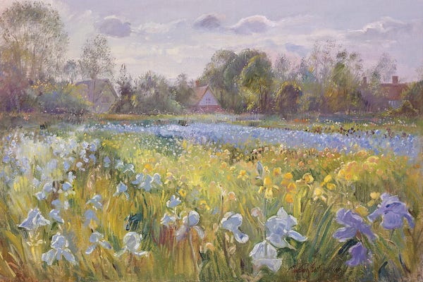 Irises: Iris Field In The Evening Light, 1993 by Timothy Easton