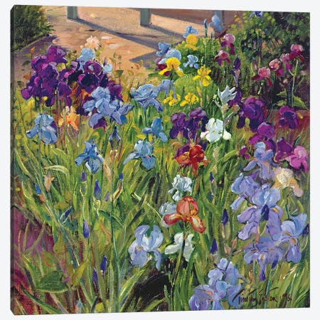 Irises And Summer House Shadows, 1996 Canvas Print #EST39} by Timothy Easton Canvas Print