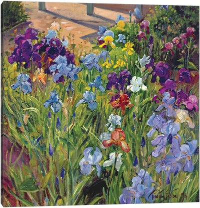 Irises And Summer House Shadows, 1996 Canvas Art Print - Timothy Easton