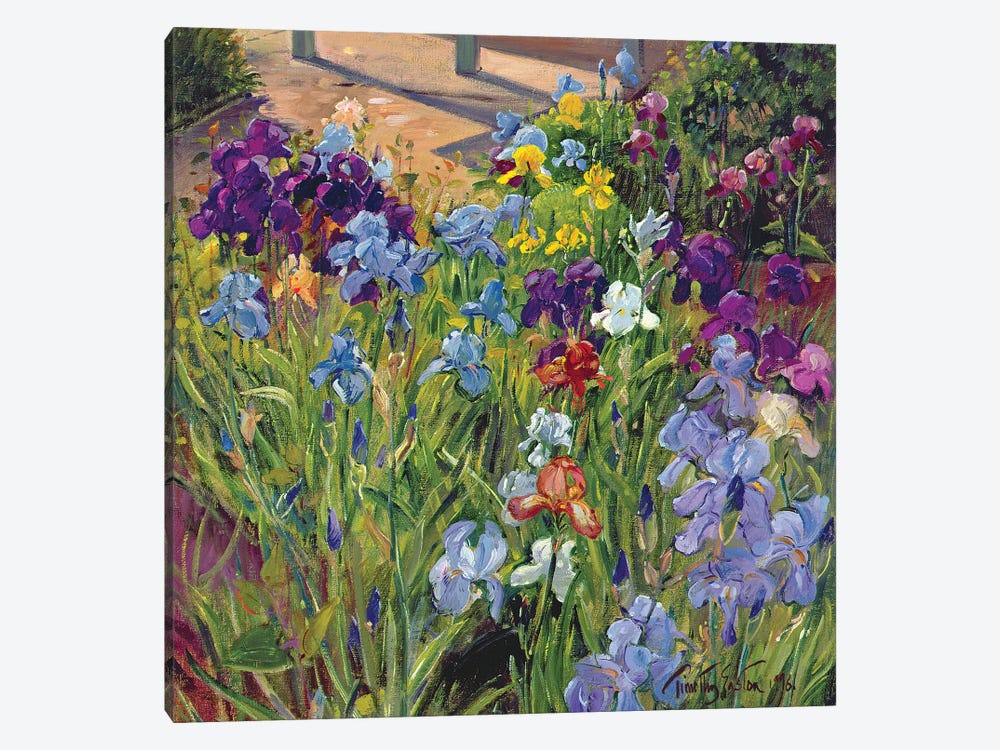 Irises And Summer House Shadows, 1996 by Timothy Easton 1-piece Canvas Art