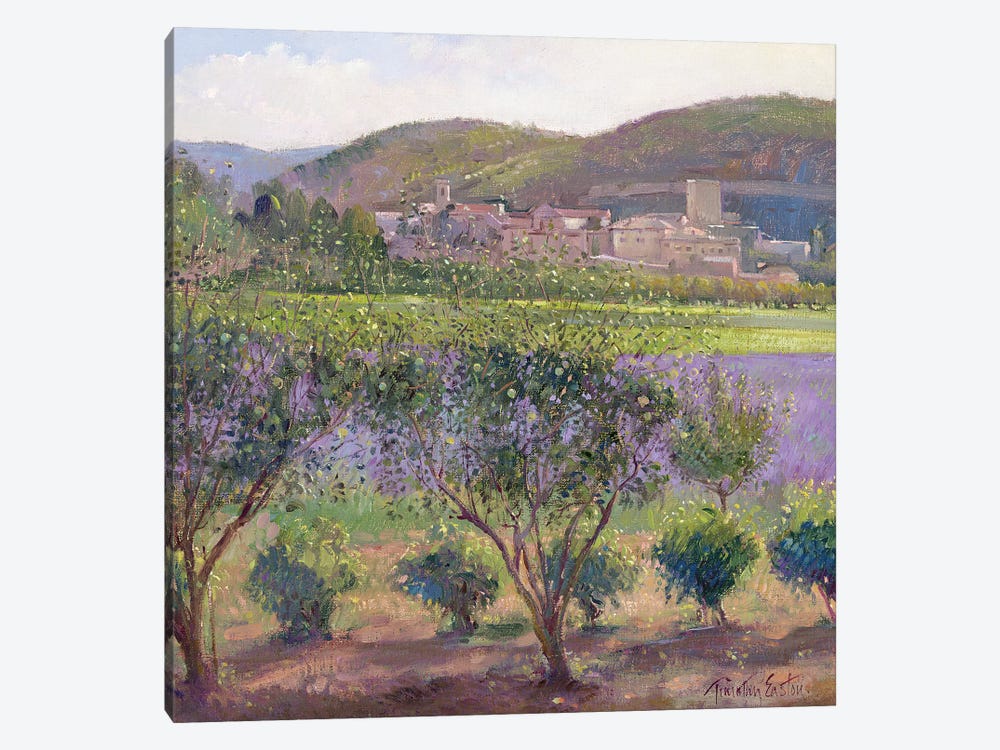 Lavender Seen Through Quince Trees, Monclus by Timothy Easton 1-piece Canvas Artwork