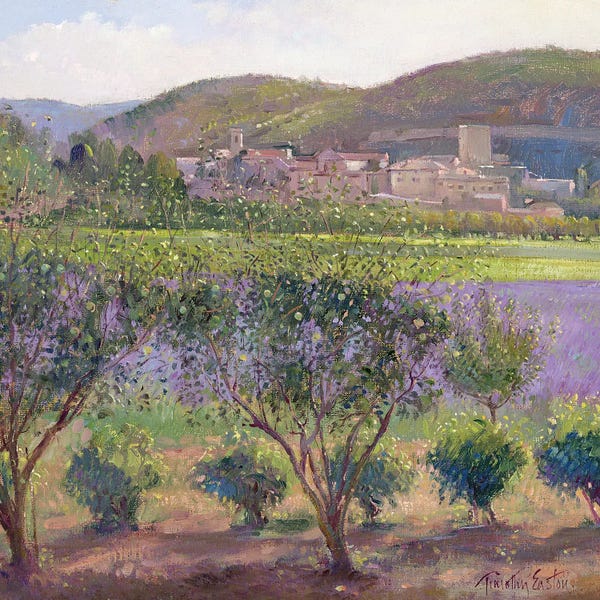 French Country Décor: Lavender Seen Through Quince Trees, Monclus by Timothy Easton