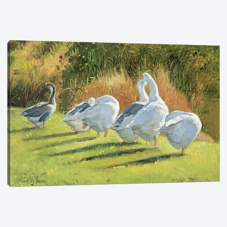 Moat Edge, Bedfield Canvas Print #EST41} by Timothy Easton Canvas Wall Art