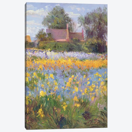 The Enclosed Cottages In The Iris Field Canvas Print #EST49} by Timothy Easton Canvas Art