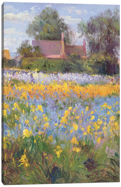 The Enclosed Cottages In The Iris Field Canvas Art Print
