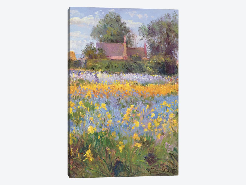 The Enclosed Cottages In The Iris Field by Timothy Easton 1-piece Canvas Print