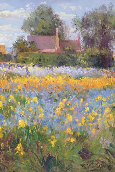 Detailed Oil Painters: The Enclosed Cottages In The Iris Field by Timothy Easton