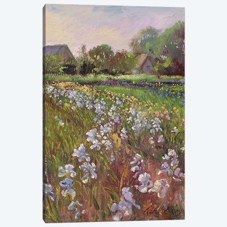 White Irises And Farmstead Canvas Print #EST56} by Timothy Easton Canvas Wall Art