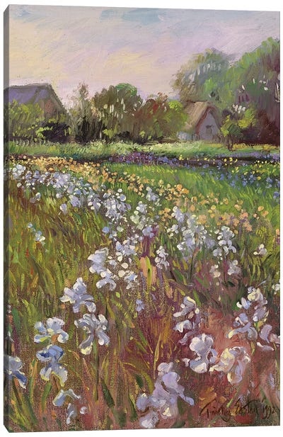 White Irises And Farmstead Canvas Art Print - Iris Art