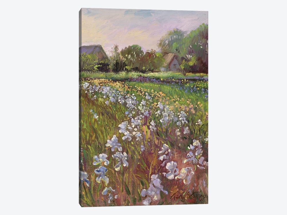 White Irises And Farmstead by Timothy Easton 1-piece Art Print