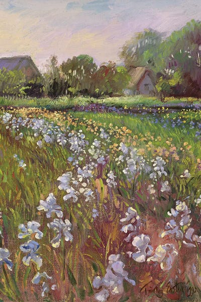 Irises: White Irises And Farmstead by Timothy Easton