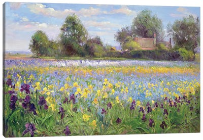 Farmstead And Iris Field, 1992 Canvas Art Print - Iris Art