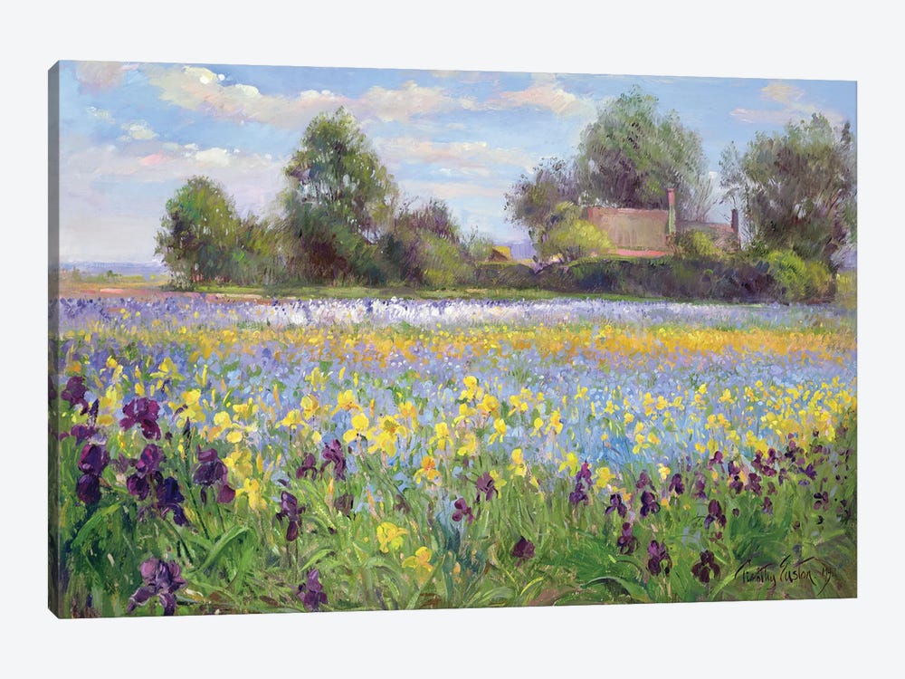 Farmstead And Iris Field, 1992 by Timothy Easton 1-piece Canvas Art