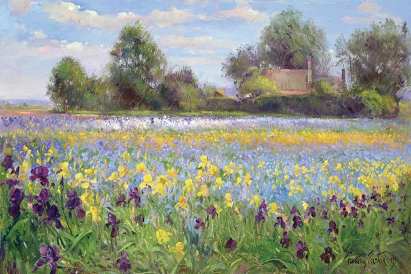 Irises: Farmstead And Iris Field, 1992 by Timothy Easton