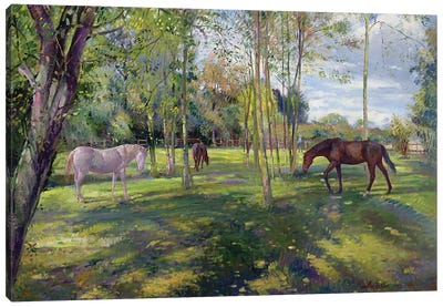 In The Rectory Paddock, 1993 Canvas Art Print