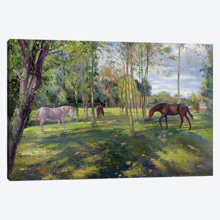In The Rectory Paddock, 1993 Canvas Print #EST64} by Timothy Easton Canvas Print