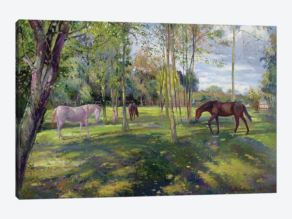 In The Rectory Paddock, 1993 by Timothy Easton 1-piece Canvas Art