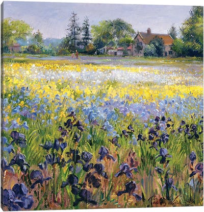Irises And Two Fir Trees, 1993 Canvas Art Print - Current Day Impressionism Art