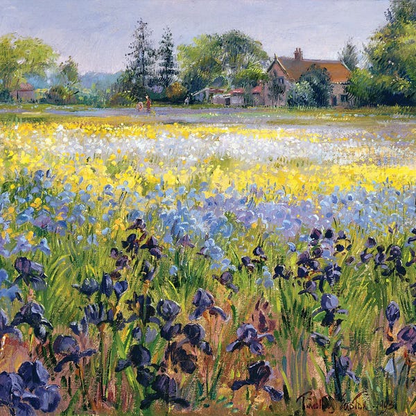 Detailed Oil Painters: Irises And Two Fir Trees, 1993 by Timothy Easton