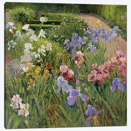Irises At Bedfield Canvas Print #EST66} by Timothy Easton Art Print