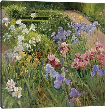 Irises At Bedfield Canvas Art Print - Green Art