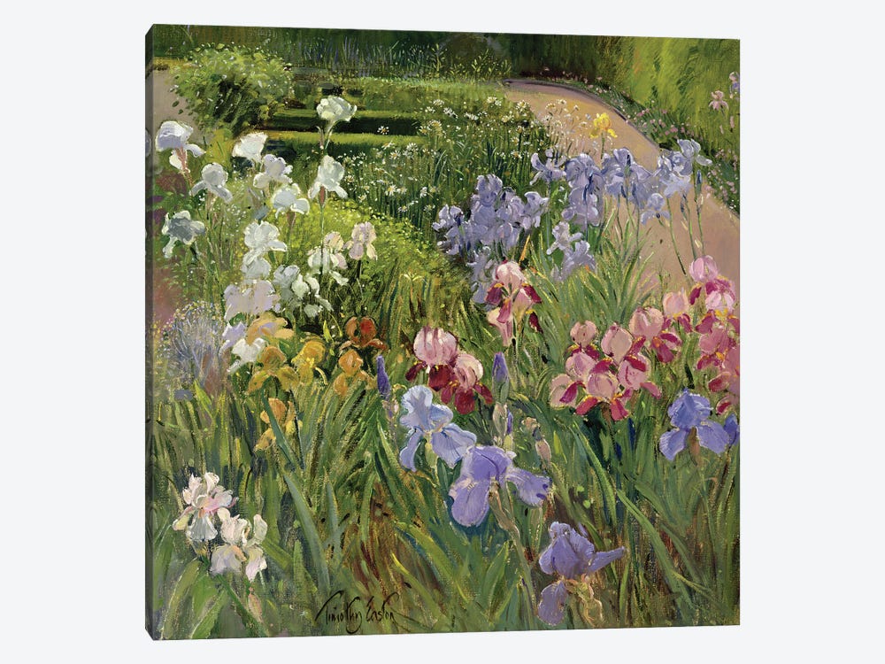 Irises At Bedfield by Timothy Easton 1-piece Canvas Art
