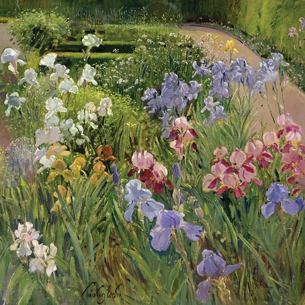 Irises: Irises At Bedfield by Timothy Easton