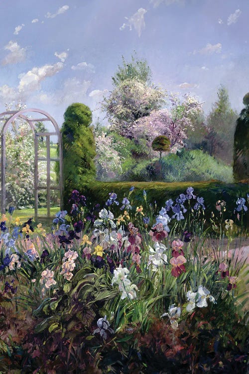 Irises In The Formal Gardens, 1993 by Timothy Easton canvas print