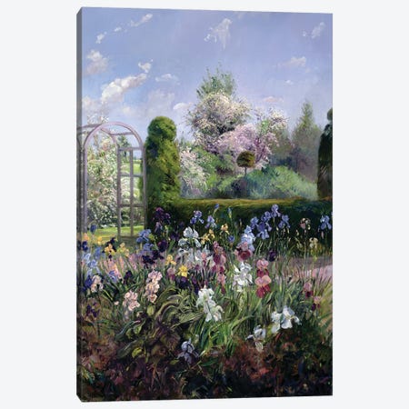 Irises In The Formal Gardens, 1993 Canvas Print #EST67} by Timothy Easton Canvas Print