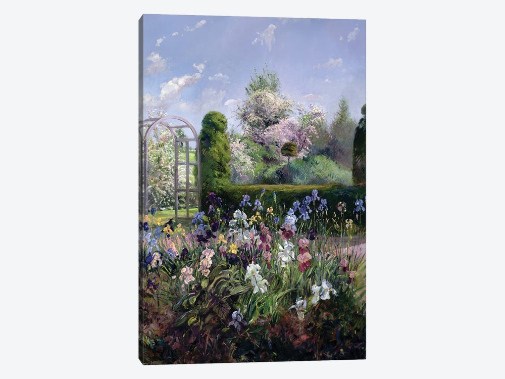 Irises In The Formal Gardens, 1993 by Timothy Easton 1-piece Canvas Print